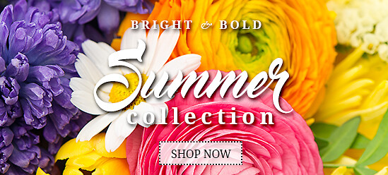 Summer Banner