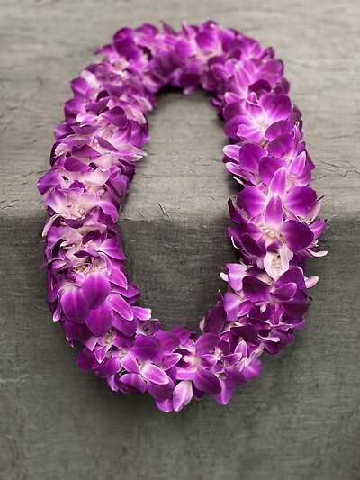 Hawaiian Orchid Lei