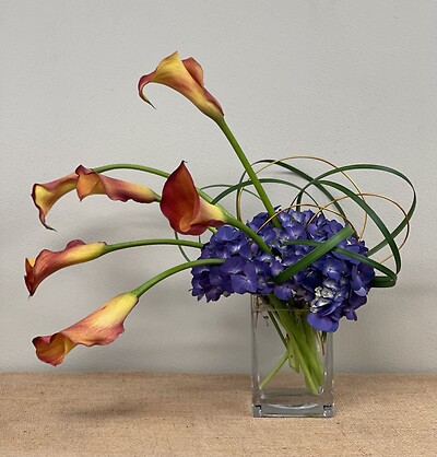 Modern Flame Calla