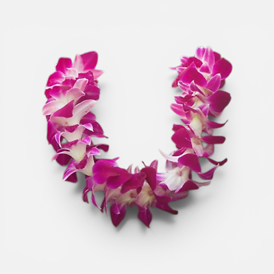 Hawaiian Orchid Lei